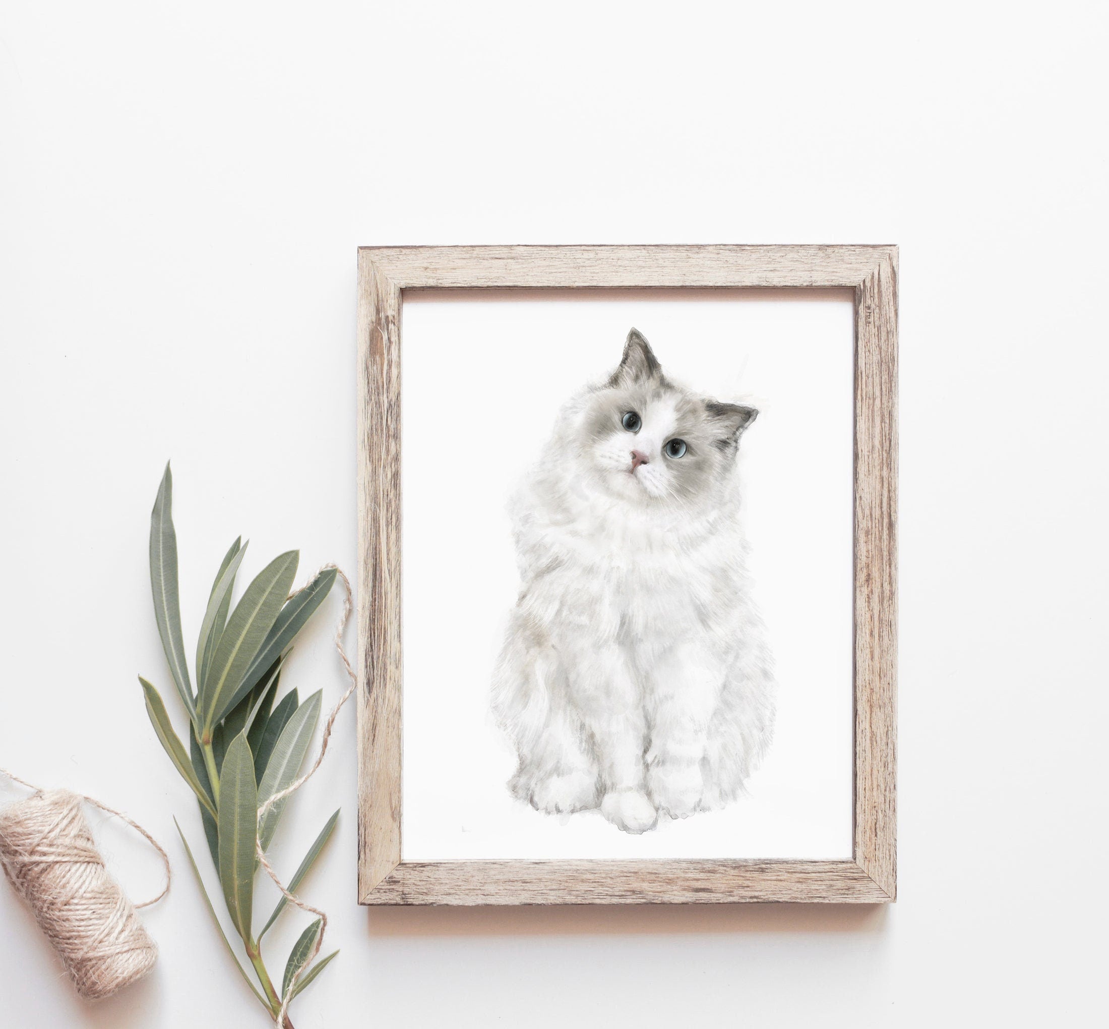 Ragdoll Cat Watercolor Painting, Fluffy Cat Modern Wall Art for Home Decor, Minimalistic Grey and White Cat Lover Gift, Signed by Artist
