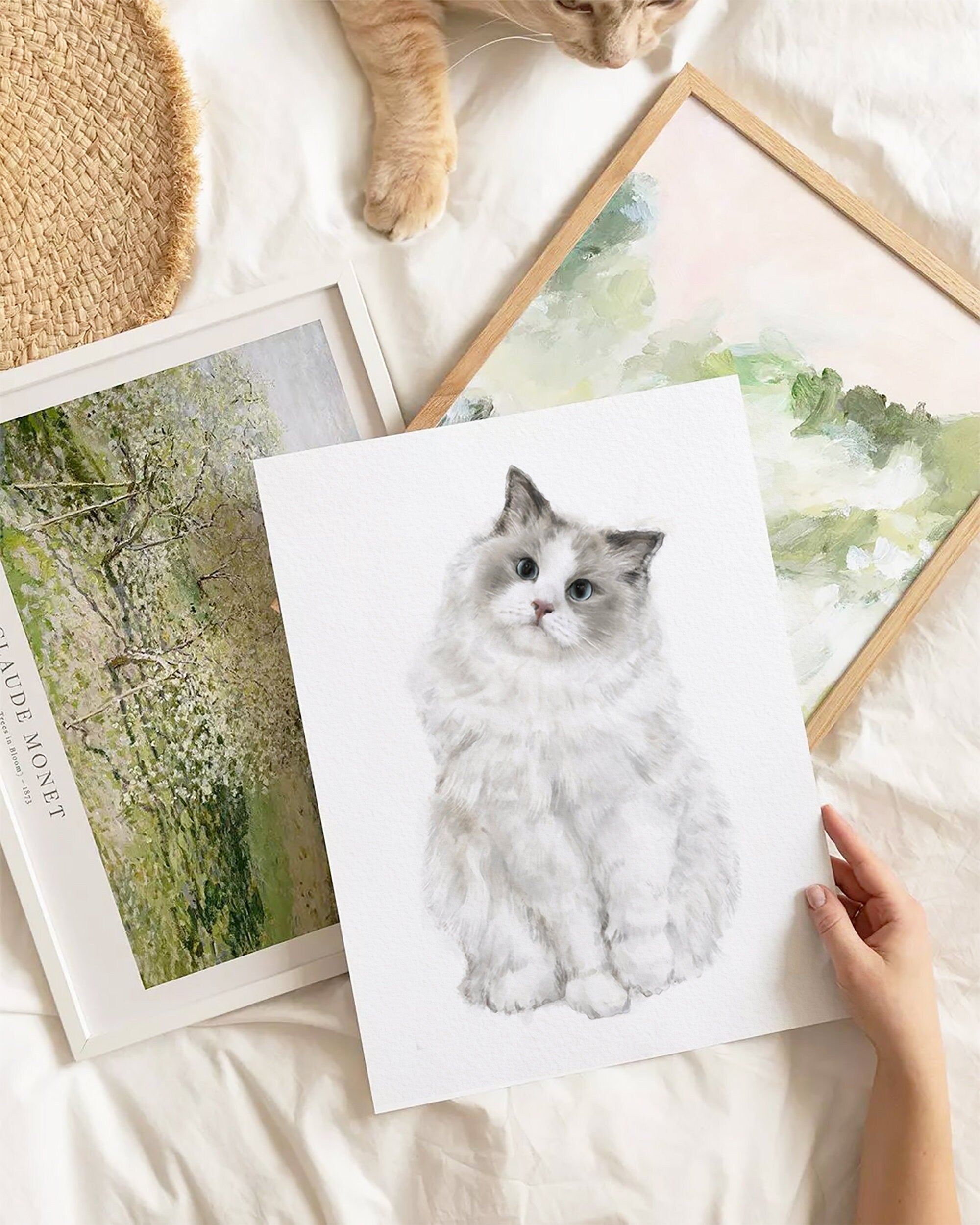 Ragdoll Cat Watercolor Painting, Fluffy Cat Modern Wall Art for Home Decor, Minimalistic Grey and White Cat Lover Gift, Signed by Artist