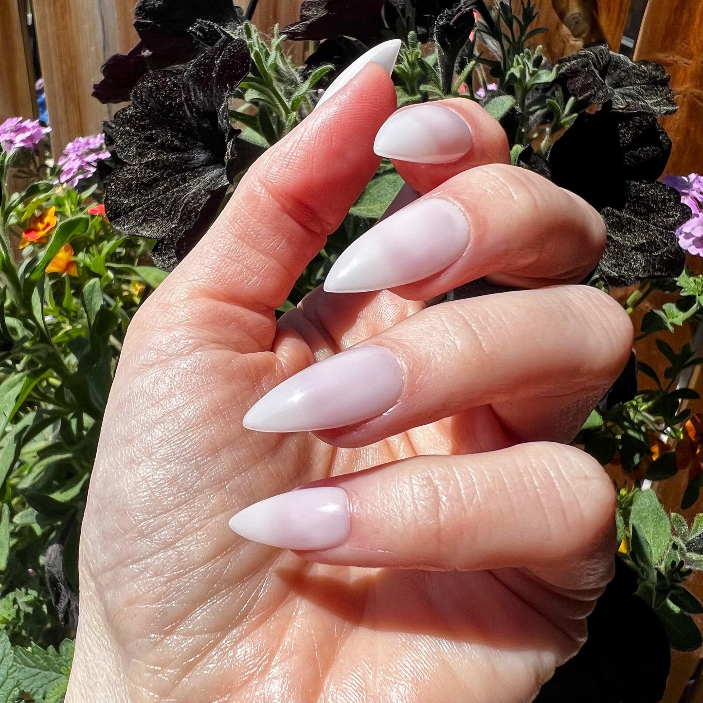 Kitty Cat Claws