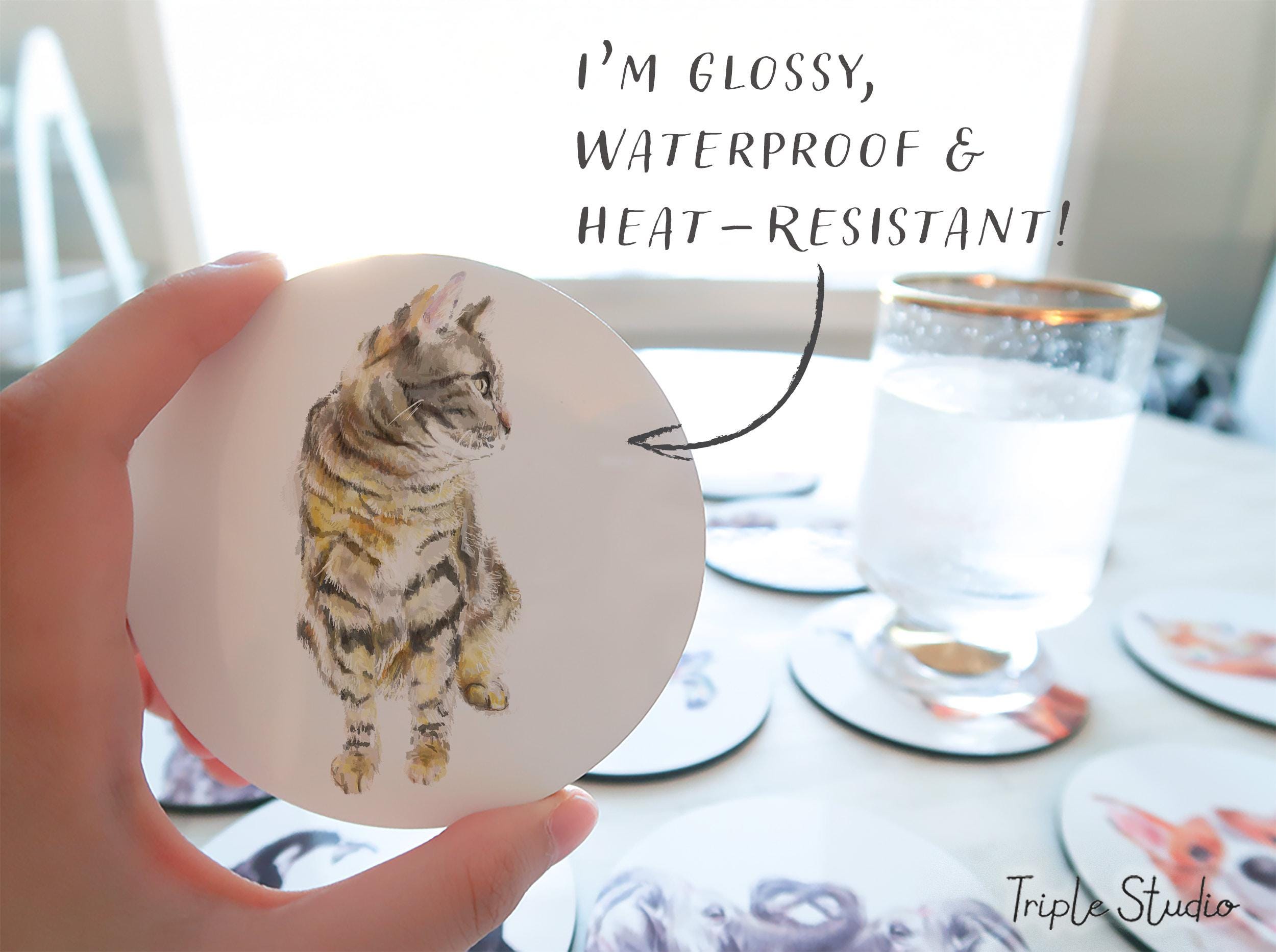Gray Tabby Cat Coaster
