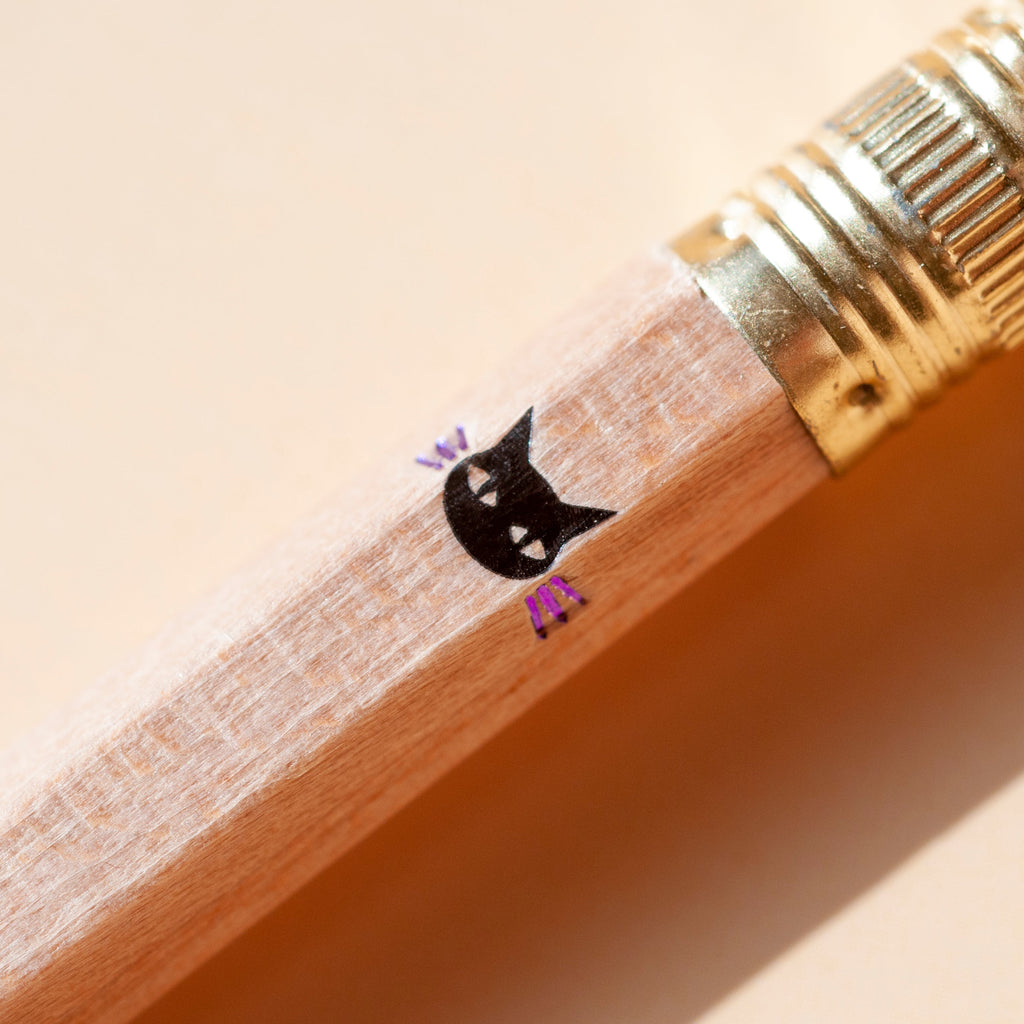 Mr. Whiskers Pencil Set