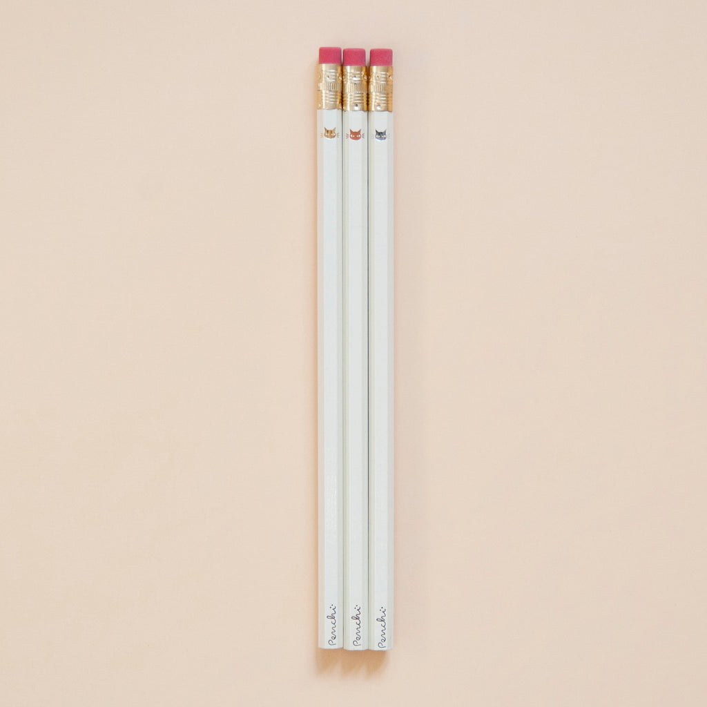 Mr. Whiskers Pencil Set