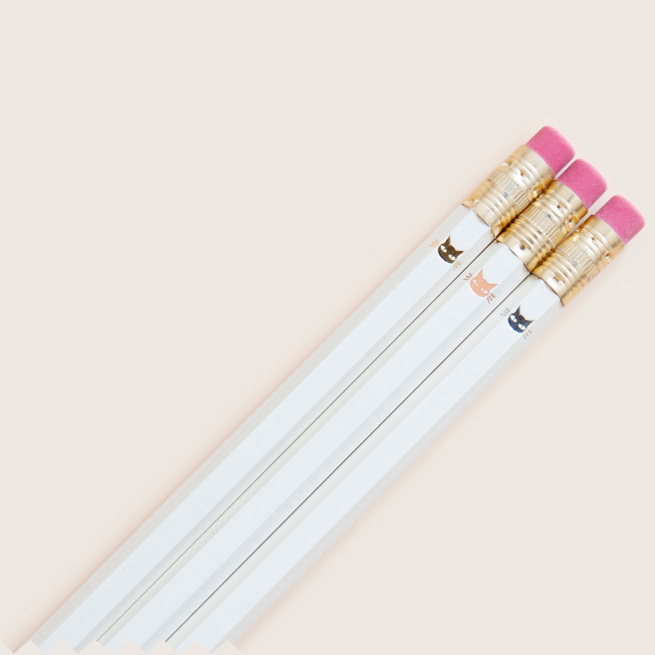 Mr. Whiskers Pencil Set